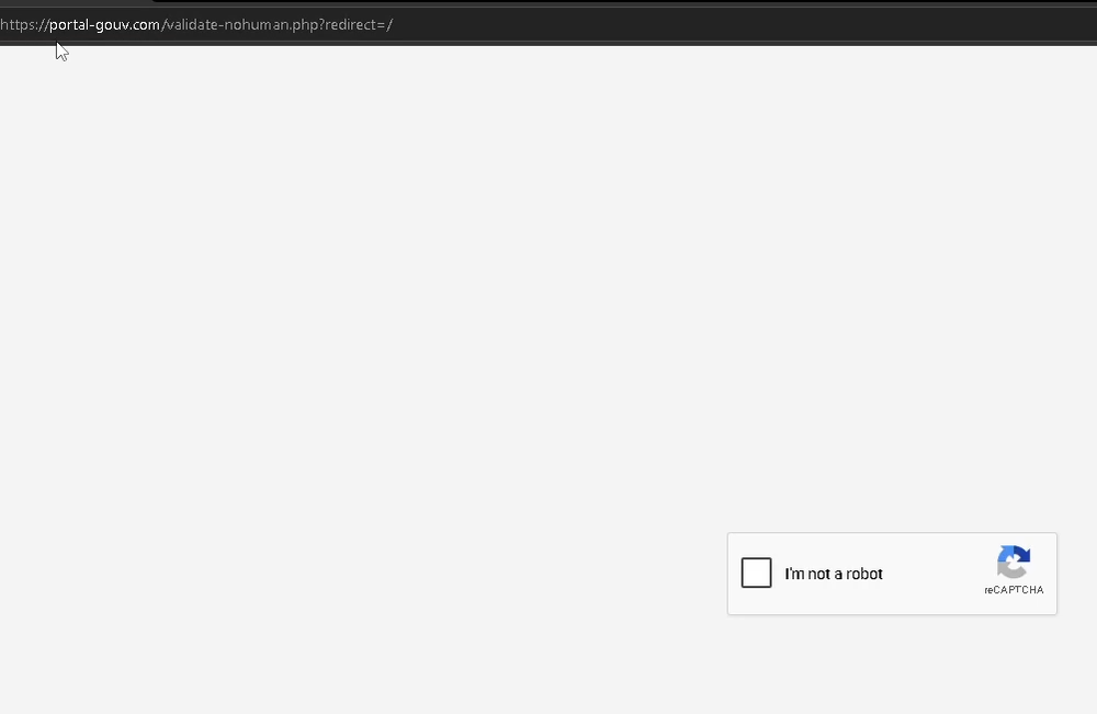 Faux reCAPTCHA 'I'm not a robot' sur validate-nohuman.php